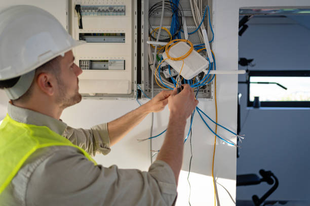 Best Ceiling Fan Installation Electrician  in Wolverine Lake, MI